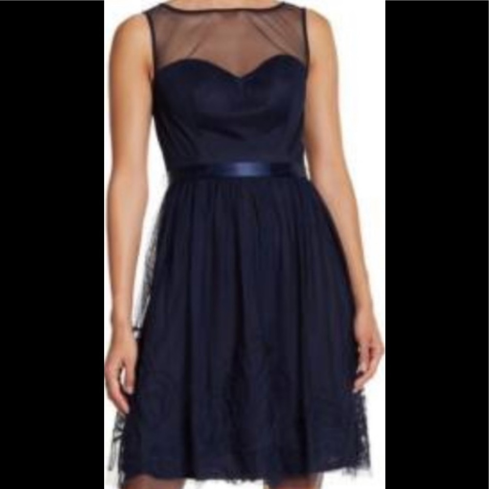 Eliza J Sleeveless Illusion Neckline Embroidery Dress